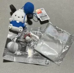 ポチャッコ　カラフルバルーンマスコット めじるしアクセサリー PKG風小物入れ — image 1