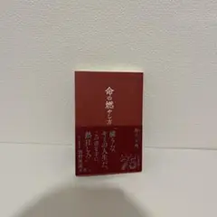 命の燃やし方 — image 1