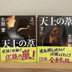 天上の葦 上下 — image 1