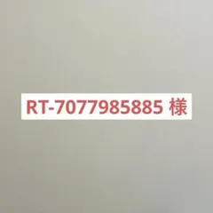 RT-7077985885 様専用 — image 1