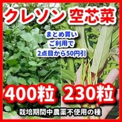 クレソン＆空芯菜の種セット⭕️ — image 1