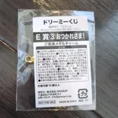進研ゼミ コラショ ドリーミーくじ E賞 メダルチャーム — image 1