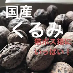 鬼くるみ姫くるみお菓子くるみ — image 1