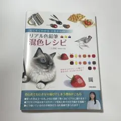 見てすぐわかる3色からのリアル色鉛筆混色レシピ 三上詩絵 — image 1