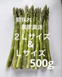 朝採れ　農家直送　アスパラ　アスパラガス　500g — image 1