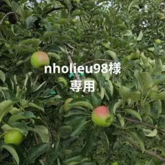 nholieu98様 専用 りんご 果物 — image 1