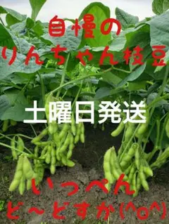 ⑤湯あがり娘 枝豆 新鮮野菜 — image 1