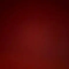  ︎︎ 様専用 — image 1