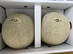 産地直送！訳ありアールスメロン❗️甘くて美味しい❗️2玉入り！箱込4.5キロ前後 — image 1