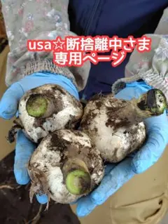 usa☆断捨離中さま専用ページ — image 1