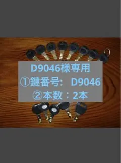 D9046様専用 ①鍵番号: D9046 ②本数：2本 — image 1