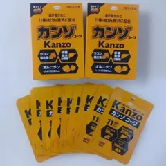 Kanzo カンゾコーワ 粒タイプ 2粒×10包セット+9包 — image 1