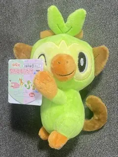 ポケットモンスター　ほぺぴたぬいぐるみ　サルノリ　新品未使用タグ付き — image 1