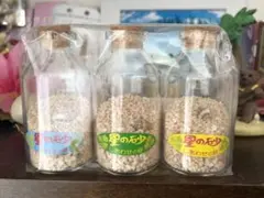 沖縄星の砂ボトル3本セット — image 1