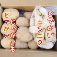 ニンニク、ジャガイモセット — image 1