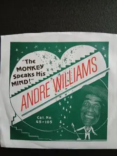 Andre Williams ダブルサイダー‼️DJ御用達‼️ — image 1
