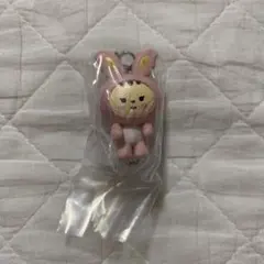 SEVENTEEN miniteen ガチャガチャ ジョンハン カニカン — image 1
