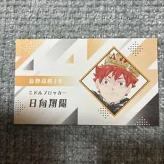 名刺カードコレクション ハイキュー 日向翔陽 — image 1