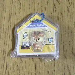 MINITEEN シャスミ（ジョシュア） — image 1