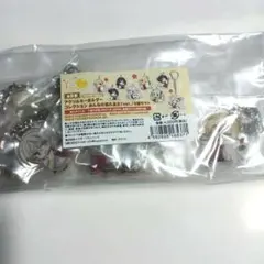 ゆずソフト アクリルキーホルダー みんなの憧れ巫女 8個セット未開封 — image 1
