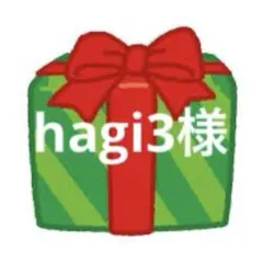 hagi3様専用 — image 1