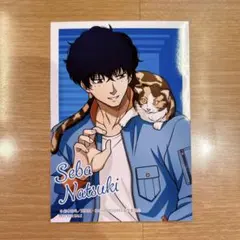 SAKAMOTO DAYS ブロマイド 猫と戯れver.　特典 勢羽 — image 1