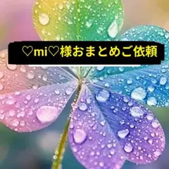 ♡mi♡様 リクエスト 2点 まとめ商品 — image 1