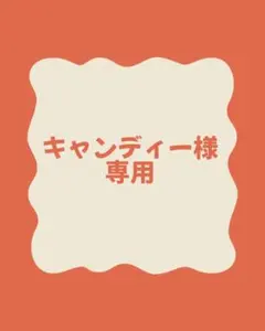 キャンディー様専用 — image 1