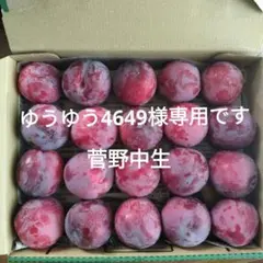 ゆうゆう4649様専用です — image 1