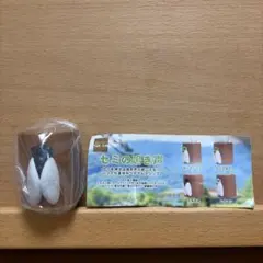 SO-TA セミの鳴き声 カプセルトイ クマゼミ — image 1