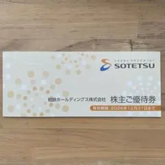 【未使用】相鉄ホールディングス　株主優待券 — image 1