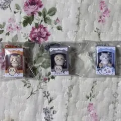 ちいかわ チョコボックス シーサー ラッコ あのこ — image 1