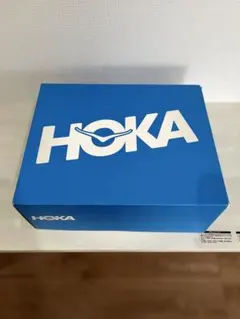 ★美品★ HOKA ONE ONE U STINSON EVO OG 28cm — image 1