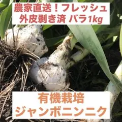 【農薬不使用】生ジャンボニンニク バラ1kg — image 1
