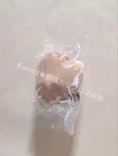 前向キウイ ラッキーウイ — image 1