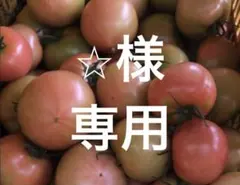 ⭐︎様　専用 — image 1