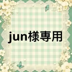jun 様　專用 — image 1