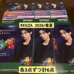REGZA 目黒蓮さん　2026/春夏　総合カタログ&キャンペーンチラシ　計６点 — image 1