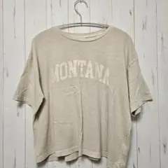 coca ロゴ 半袖 Tシャツ Lサイズ — image 1
