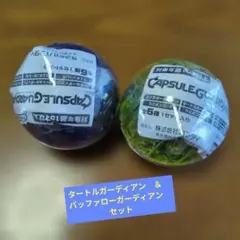 カプセルガーディアンIII ２個セット — image 1