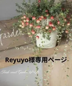 Reyuyo様専用ページです•*¨*•.¸♬︎ — image 1
