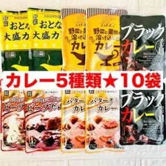 【超お得な★まとめ売り】大盛りカレー/ビーフカレーなど5種類セット★計10袋★A — image 1