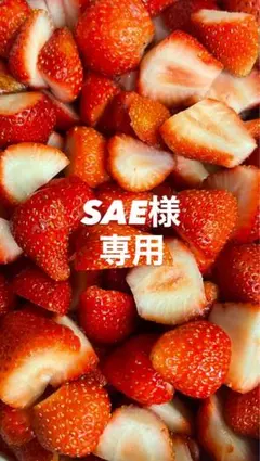 SAE様専用 — image 1