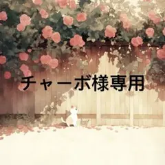 チャーボ 様　専用 — image 1