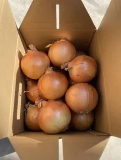 [農家直送]送料無料 淡路島産 玉ねぎ ターザン３kg Mサイズ ☆秀品☆ — image 1