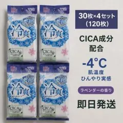 【120枚】ボディシート CICA配合 30枚×4袋 汗ふきシート 汗拭きシート — image 1