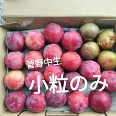 すもも（菅野中生）　ソルダム（アーリーレッド）小粒のみ — image 1