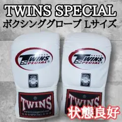 TWINS SPECIAL ボクシンググローブ ホワイト 本革 Lサイズ — image 1