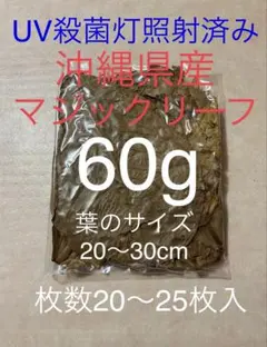 沖縄県やんばる産マジックリーフ 60g 20〜25枚入 UV殺菌灯照射済み⑤ — image 1