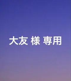 大友 様 専用 — image 1
